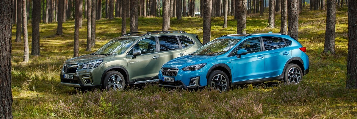 Subaru prijzen 2024